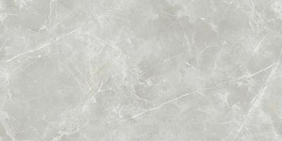Modern Grey Marble Tile, Item DT918076-3 
